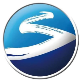 Yanghe Distillery logo